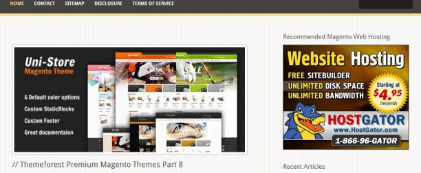 Best Magento Themes