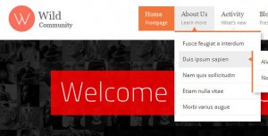 WildCommunity WordPress and BuddyPress Theme